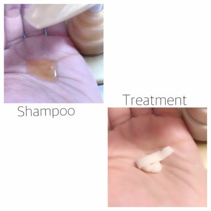 リッチリペア シャンプー/トリートメント/MAISON DE THÉ/市販シャンプーを使ったクチコミ(2枚目)