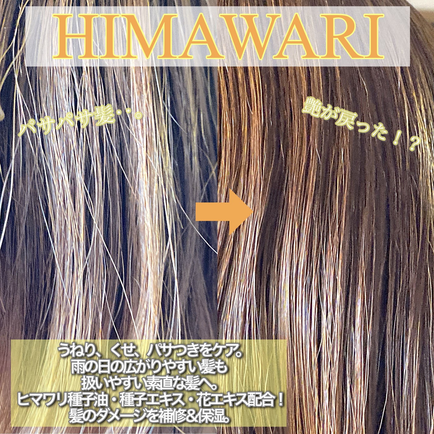 オイルインシャンプー/オイルインコンディショナー (グロス&リペア)/ディアボーテ/市販シャンプーを使ったクチコミ(2枚目)