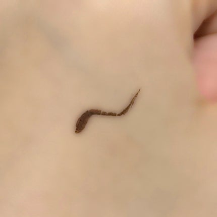 「密着アイライナー」ショート筆リキッド/デジャヴュ/リキッドアイライナーを使ったクチコミ(3枚目)