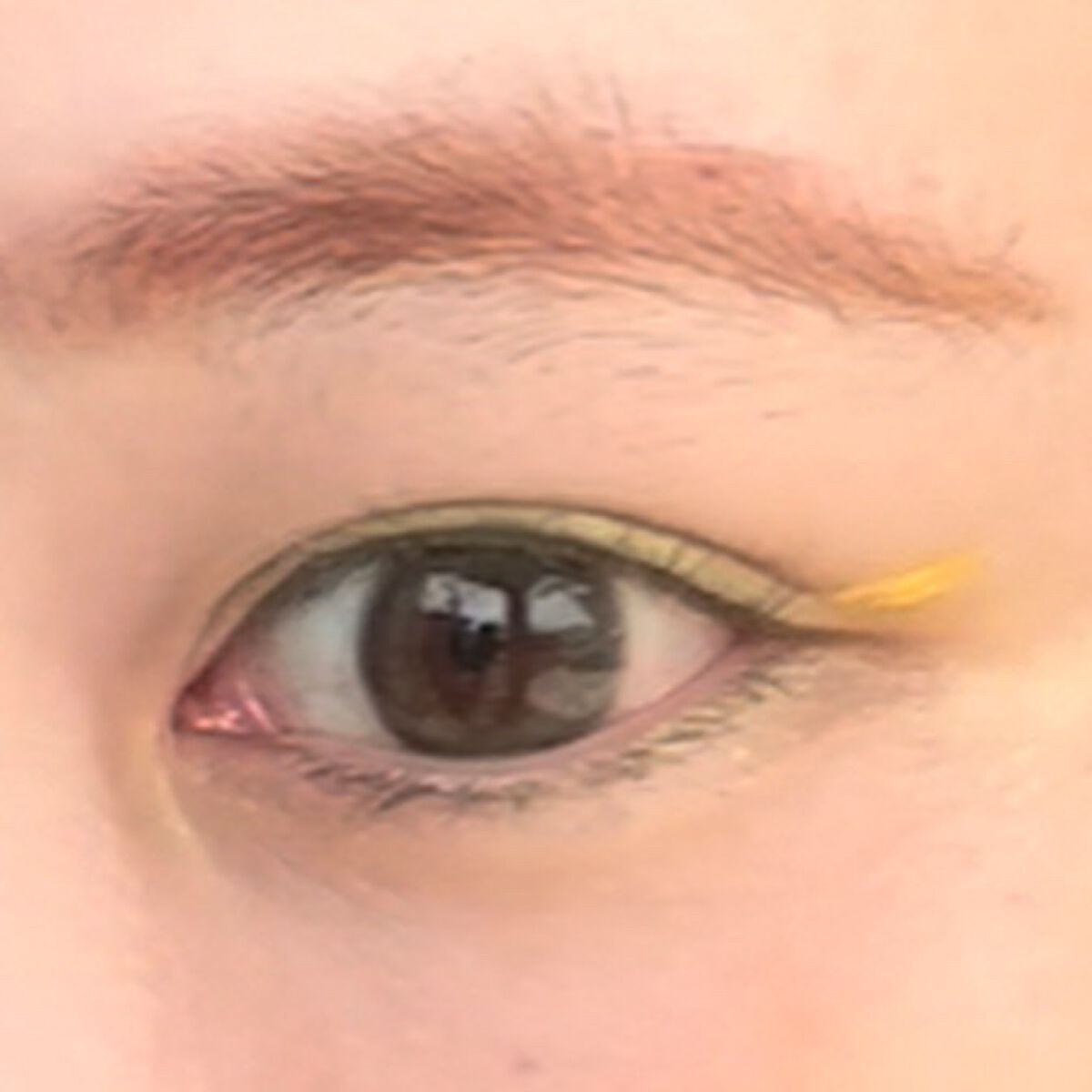 TOPARDS 1day/TOPARDS/ワンデー(1DAY)カラコンを使ったクチコミ(1枚目)