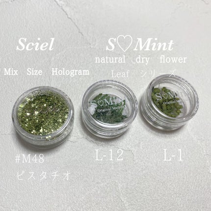 カラフルネイルズ/キャンメイク/マニキュアを使ったクチコミ(6枚目)