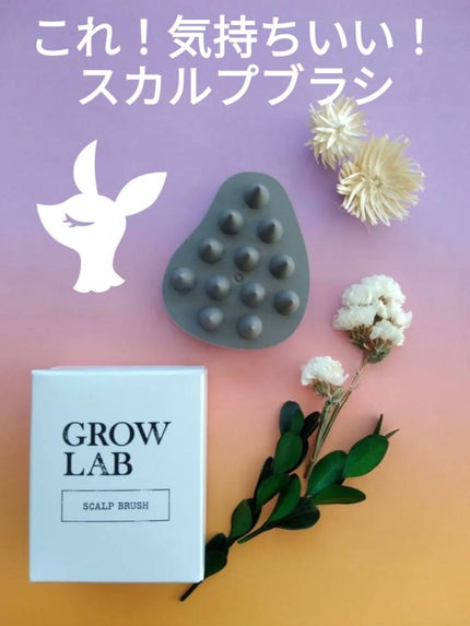 スカルプブラシ/GROW LAB/スカルプブラシを使ったクチコミ(1枚目)