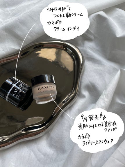 クリーム イン デイ/KANEBO/フェイスクリームを使ったクチコミ(3枚目)