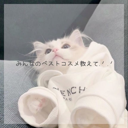 プレイカラー アイシャドウ/ETUDE/アイシャドウパレットを使ったクチコミ(1枚目)