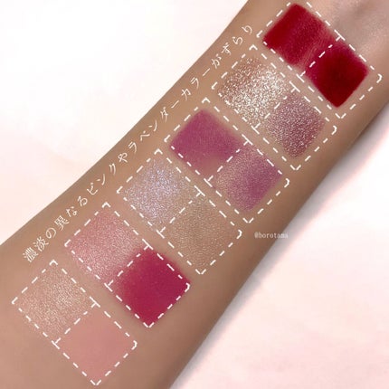 エクスプローラ12色 動物アイシャドウパレット/PERFECT DIARY/アイシャドウパレットを使ったクチコミ(4枚目)