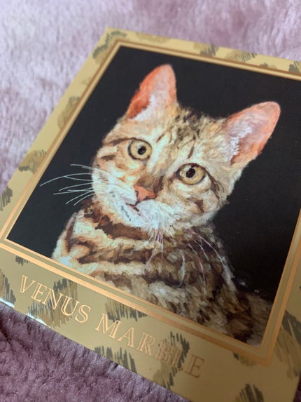 Venus Marble アイシャドウキャットシリーズ/Venus Marble/アイシャドウパレットを使ったクチコミ(1枚目)