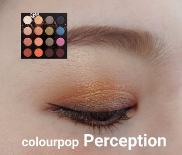 ColourPop Shayla×colourpopのクチコミ「#今日のメイク
#ColourPop #perception

久しぶりのパレット💞

パレッ.....」（1枚目）