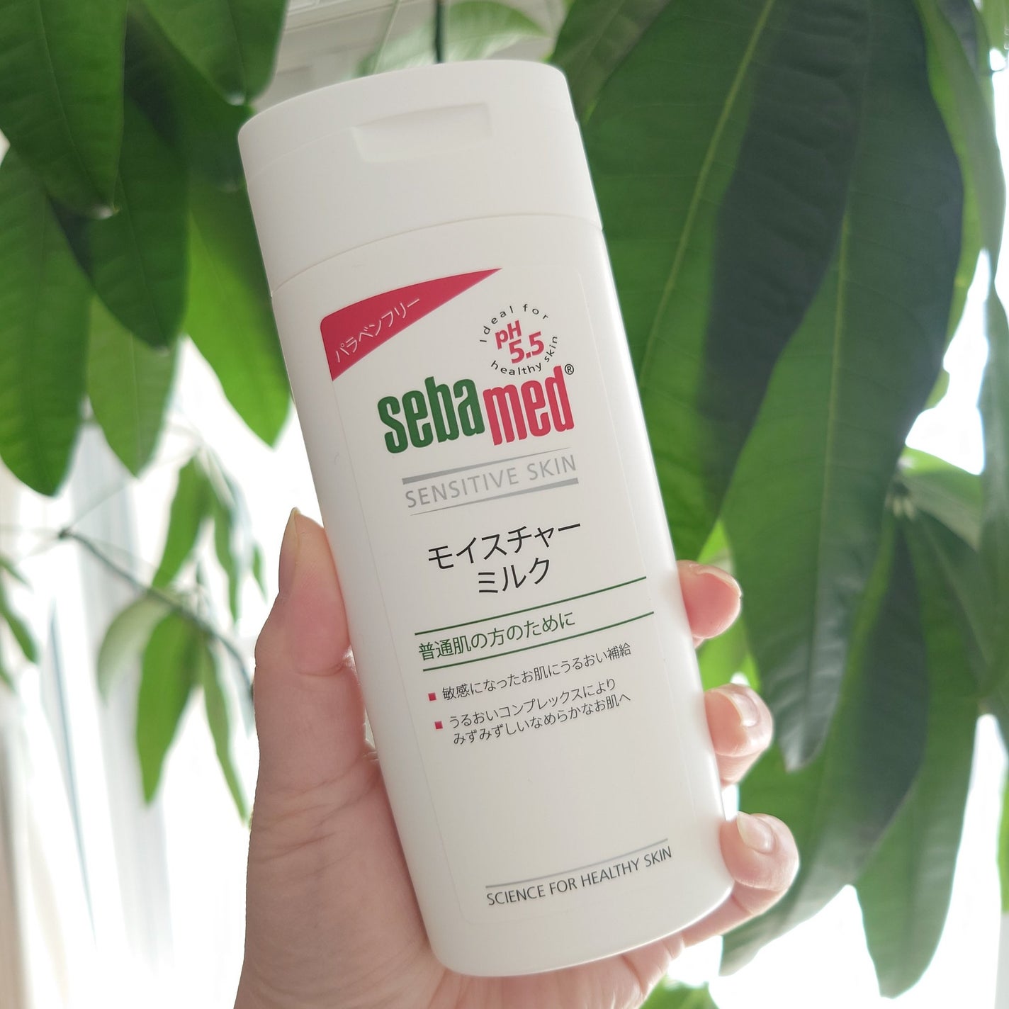 フェイシャルウォッシュフォーム(しっとり)/セバメド/洗顔フォームを使ったクチコミ(6枚目)