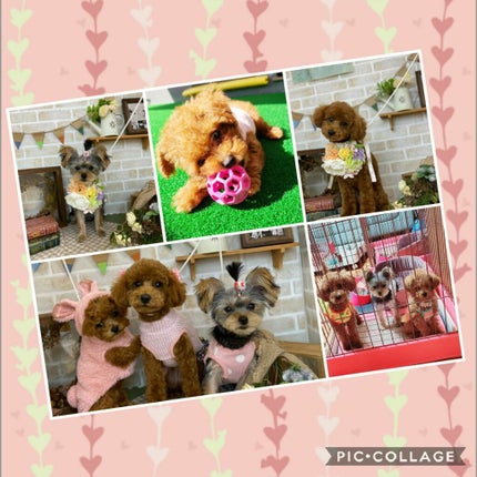 ðãããããðãð©°ã§å€å¿äžðŠ on LIPS ãããã°ãã¯ððçå€äžã«éè«å€±ç€ŒããŸãðŠãã³ãã¯ïŒã€åã®æçš¿ã®å..ãïŒ6æç®ïŒ