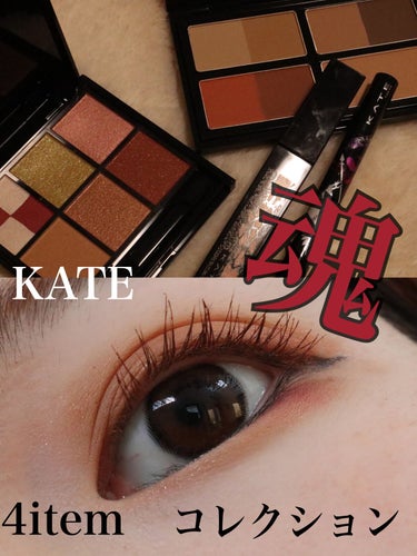 KATE 魂コレクション シェードカラーキープライナー/KATE/リキッドアイライナーを使ったクチコミ（1枚目）