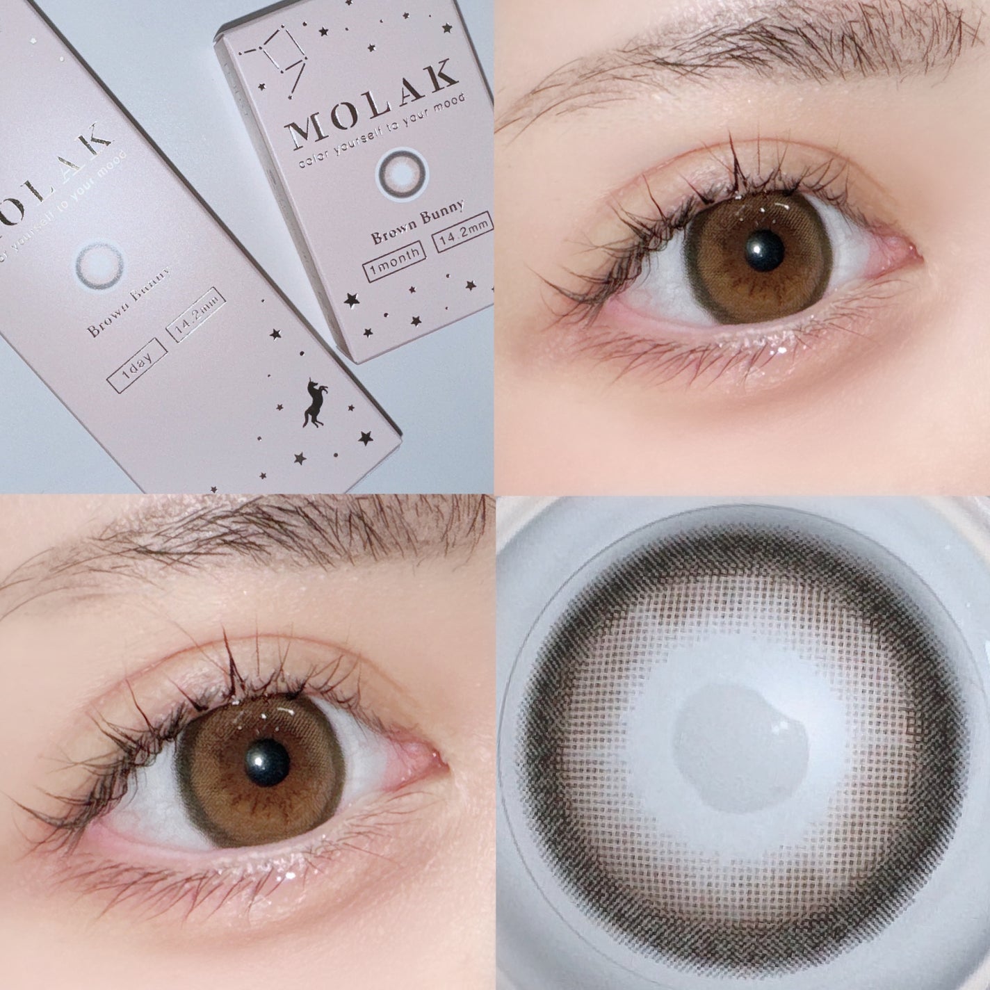 MOLAK 1day/MOLAK/ワンデー(1DAY)カラコンを使ったクチコミ(1枚目)