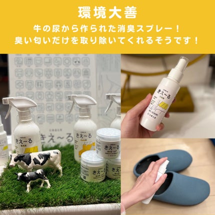 sordako/フォロバ100 on LIPS 「♡ロフト展示会ロフト展示会のグリーンプロジェクトサステナブルビ..」(4枚目)