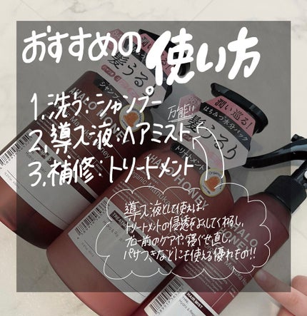 ハイドロ&リペア ジェントル ヘアミスト/AHALO HONEY/プレスタイリング・寝ぐせ直しを使ったクチコミ(3枚目)