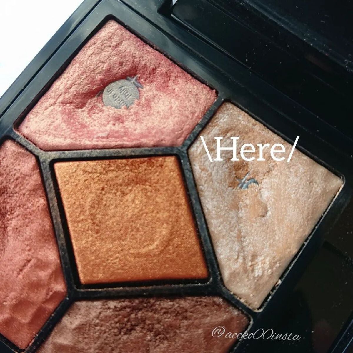 サンク クルール<ワイルド アース>/Dior/アイシャドウパレットを使ったクチコミ(2枚目)