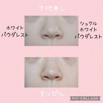 ホワイト パウダレスト/ALBION/パウダーファンデーションを使ったクチコミ(3枚目)