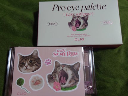 プロ アイ パレット/CLIO/アイシャドウパレットを使ったクチコミ(6枚目)