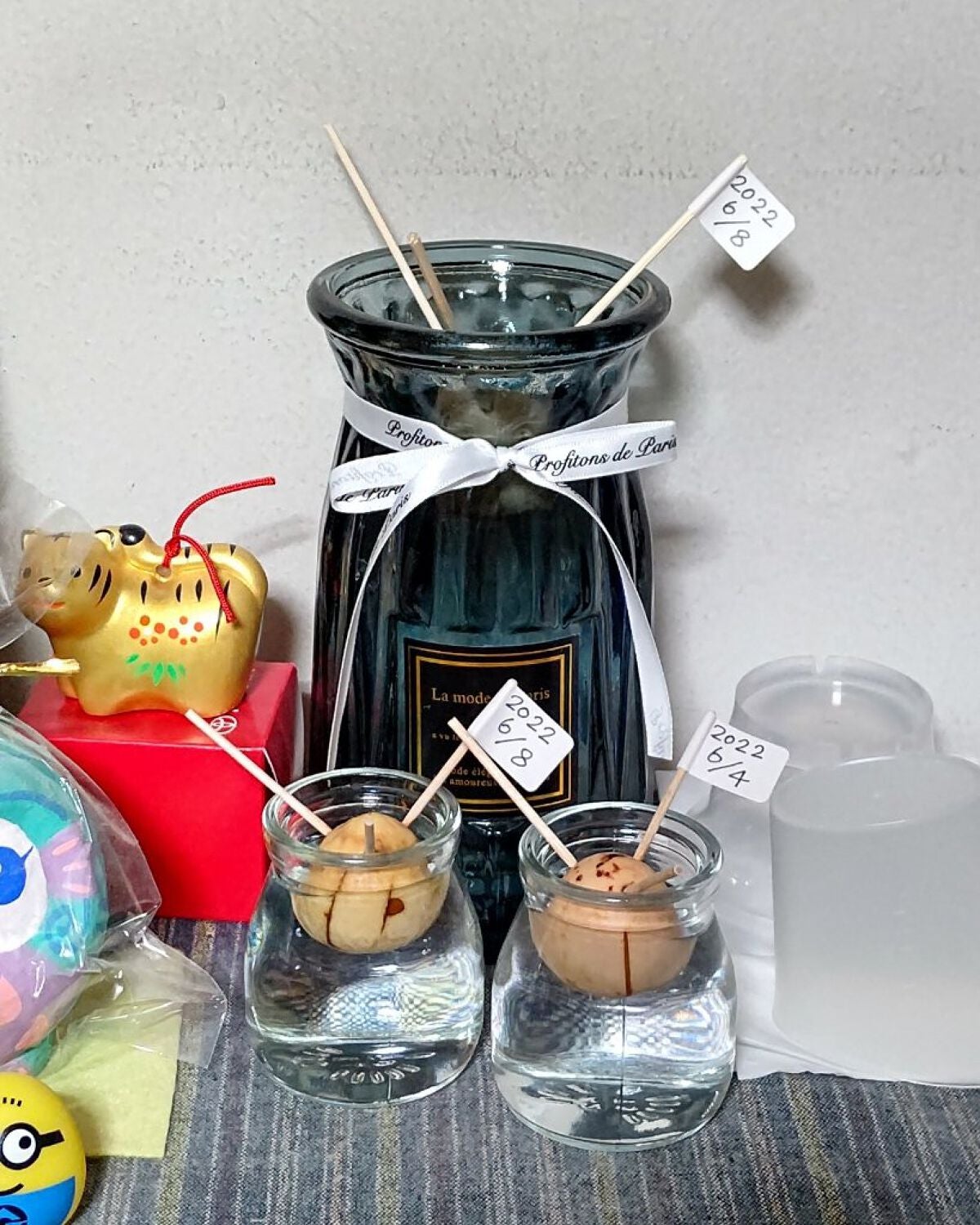 ガラス花瓶/DAISO/その他を使ったクチコミ(1枚目)