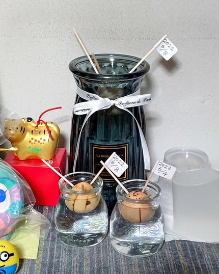 ガラス花瓶/DAISO/その他を使ったクチコミ(1枚目)