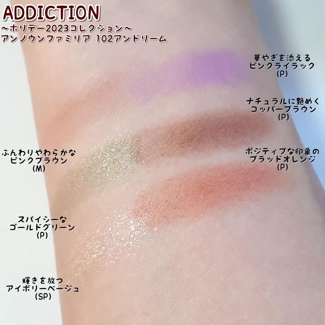 ホリデーアディクション アイシャドウパレット“アンノウンファミリア”/ADDICTION/アイシャドウパレットを使ったクチコミ(5枚目)