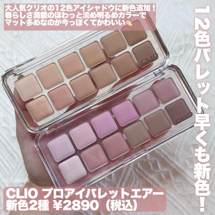 プロ アイ パレット エアー/CLIO/アイシャドウパレットを使ったクチコミ(2枚目)