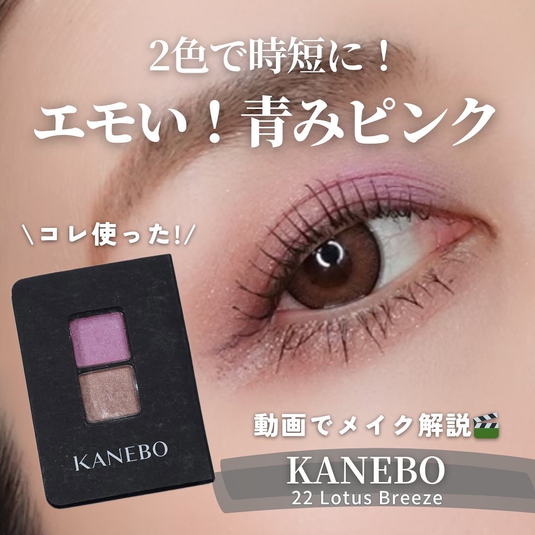 カネボウ アイカラーデュオ 22 Lotus Breeze/KANEBO/アイシャドウパレットを使ったクチコミ（1枚目）