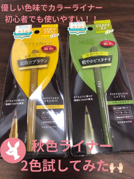 シルキーリキッドアイライナーWP/D-UP/リキッドアイライナーを使ったクチコミ(1枚目)