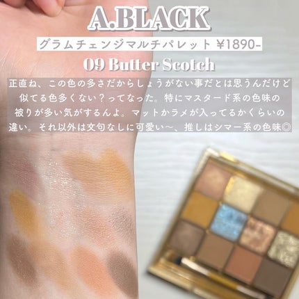 グラムチェンジマルチパレット/A.BLACK/マルチパレットを使ったクチコミ(5枚目)