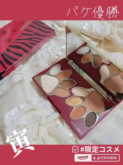 トラ十色アイシャドウパレット/COLORKEY/アイシャドウパレットを使ったクチコミ(1枚目)