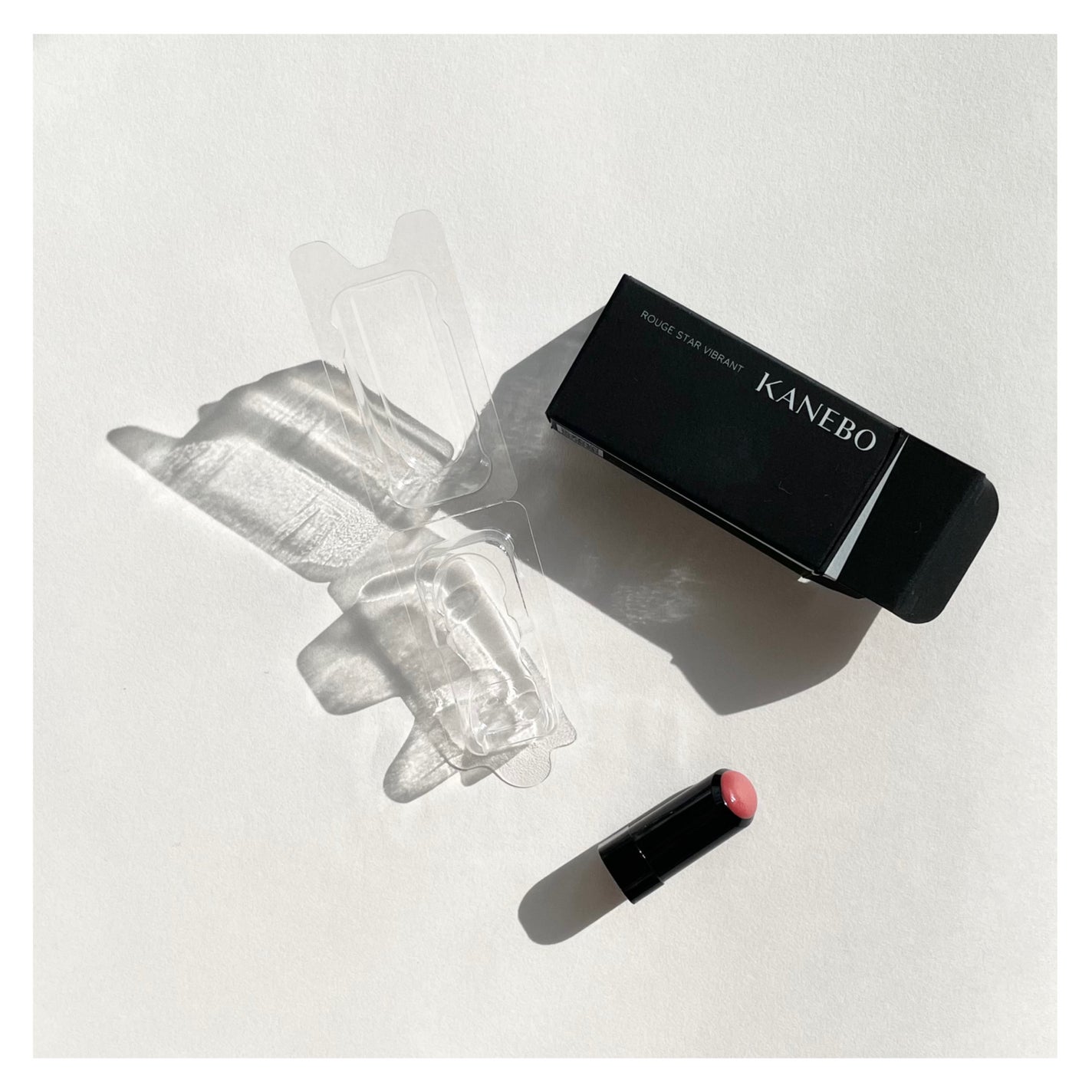 ルージュスターヴァイブラント/KANEBO/口紅を使ったクチコミ(8枚目)