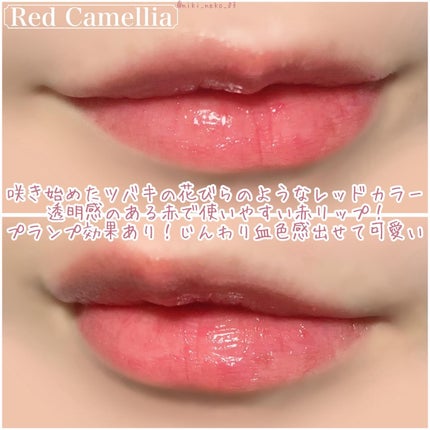 ナチュラルブルームリップオイルセラム 3色セット/PINATE/リップグロスを使ったクチコミ(7枚目)