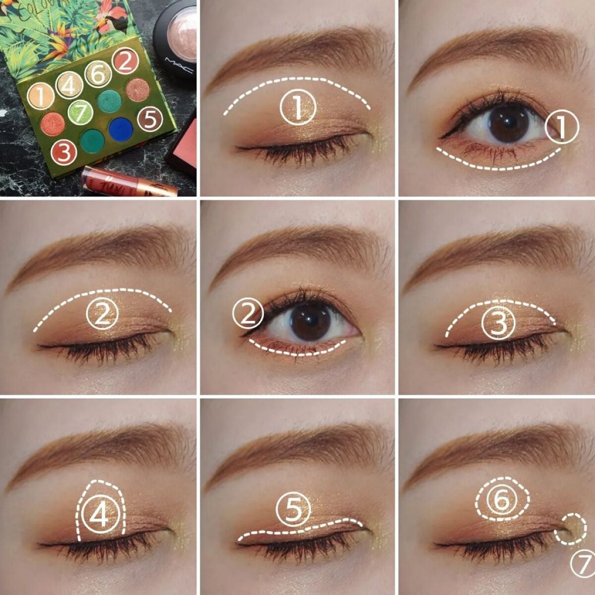 ラッシュライフ/ColourPop/アイシャドウパレットを使ったクチコミ(4枚目)