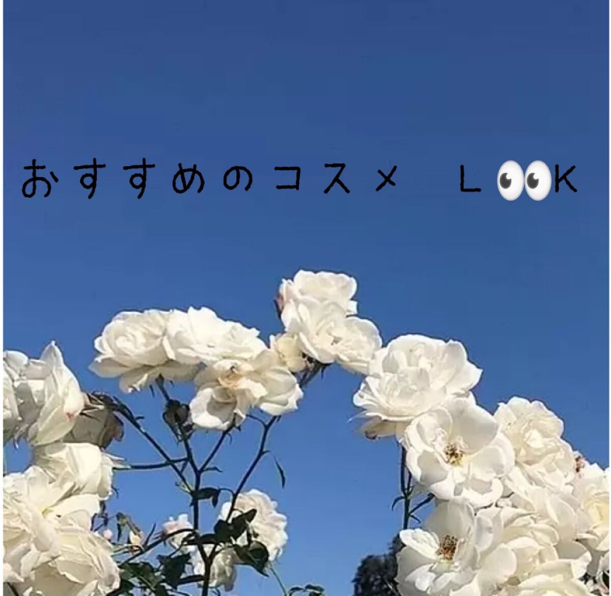 マルチキューブ/i’m meme/マルチパレットを使ったクチコミ（1枚目）