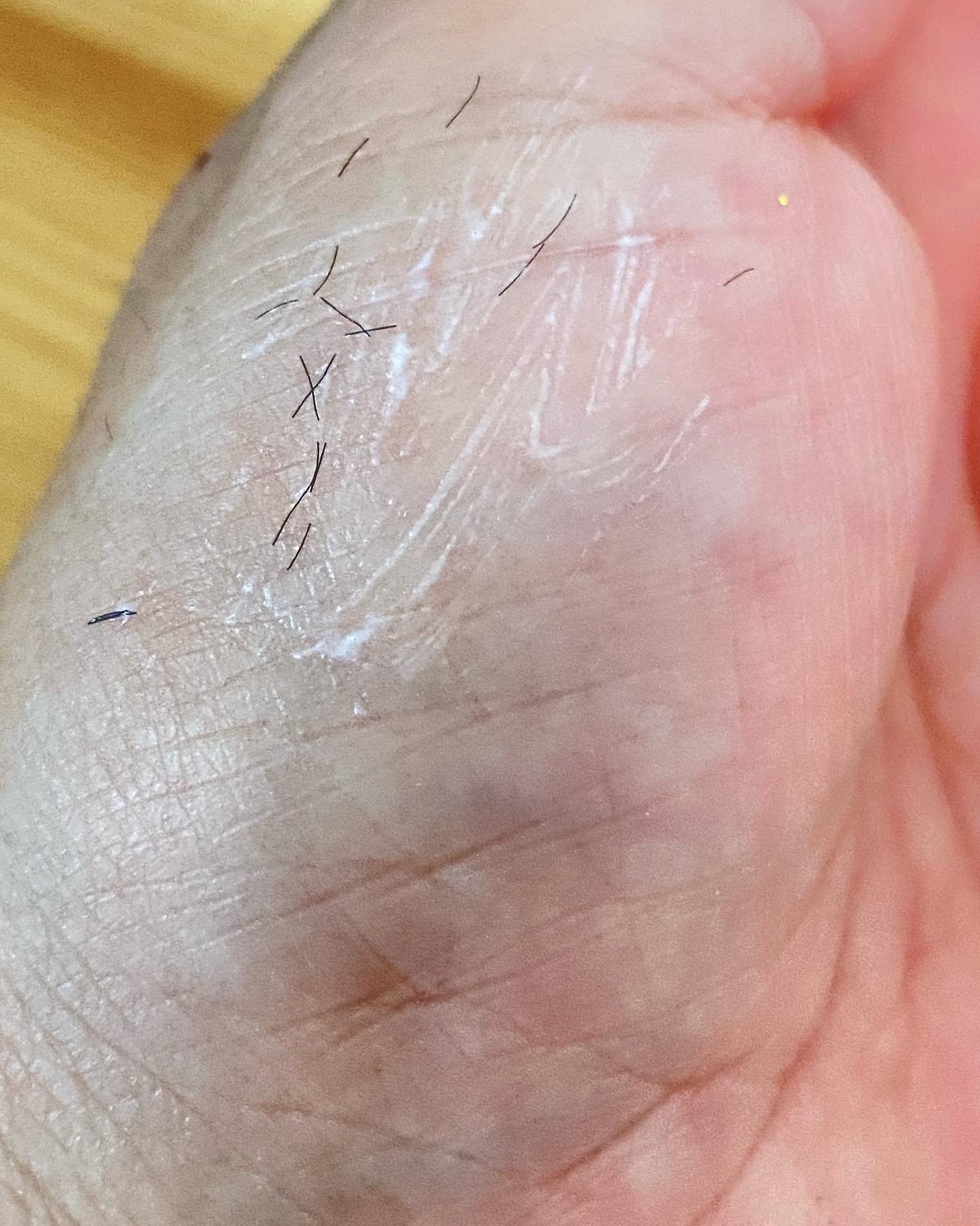 2wayまつ毛美容液/DIAMOSTeyelash/まつげ美容液を使ったクチコミ（3枚目）