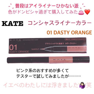 ᴴᴱᴸᴸᴼ₊˚﹆ ꒰ ぽん ꒱です ◡̈*

： KATE

： コンシャスライナーカラー
      01 ダスティーオレンジ

先日ストレス解消で
購入したアイライナー 👀*

この明るめのブラウン