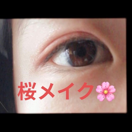 プロ アイ パレット/CLIO/アイシャドウパレットを使ったクチコミ(1枚目)