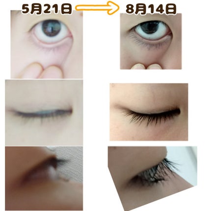 ラッシュジェリードロップ EX/MAJOLICA MAJORCA/まつげ美容液を使ったクチコミ(5枚目)