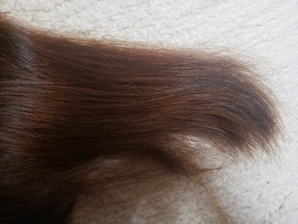 シースルーグロスシャンプー/トリートメント/rasica/市販シャンプーを使ったクチコミ(3枚目)