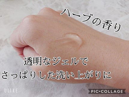 innisfree グリーンティー モーニングクレンザーのクチコミ「こんばんは、デデクラです🐭💕
今回はこちら!!!!!
#イニスフリー #innisfree.....」(2枚目)