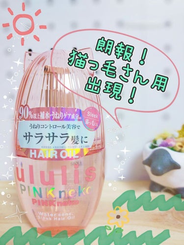 ウルリス ピンクネコ  ウォーターコンク スリーク ヘアオイル/ululis/ヘアオイルを使ったクチコミ（1枚目）