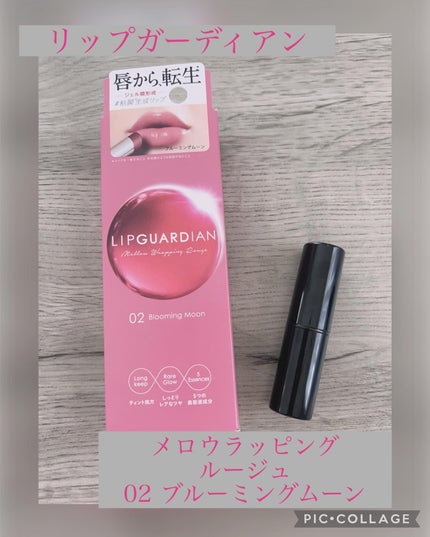 メロウラッピングルージュ/LIPGUARDIAN/口紅を使ったクチコミ(1枚目)