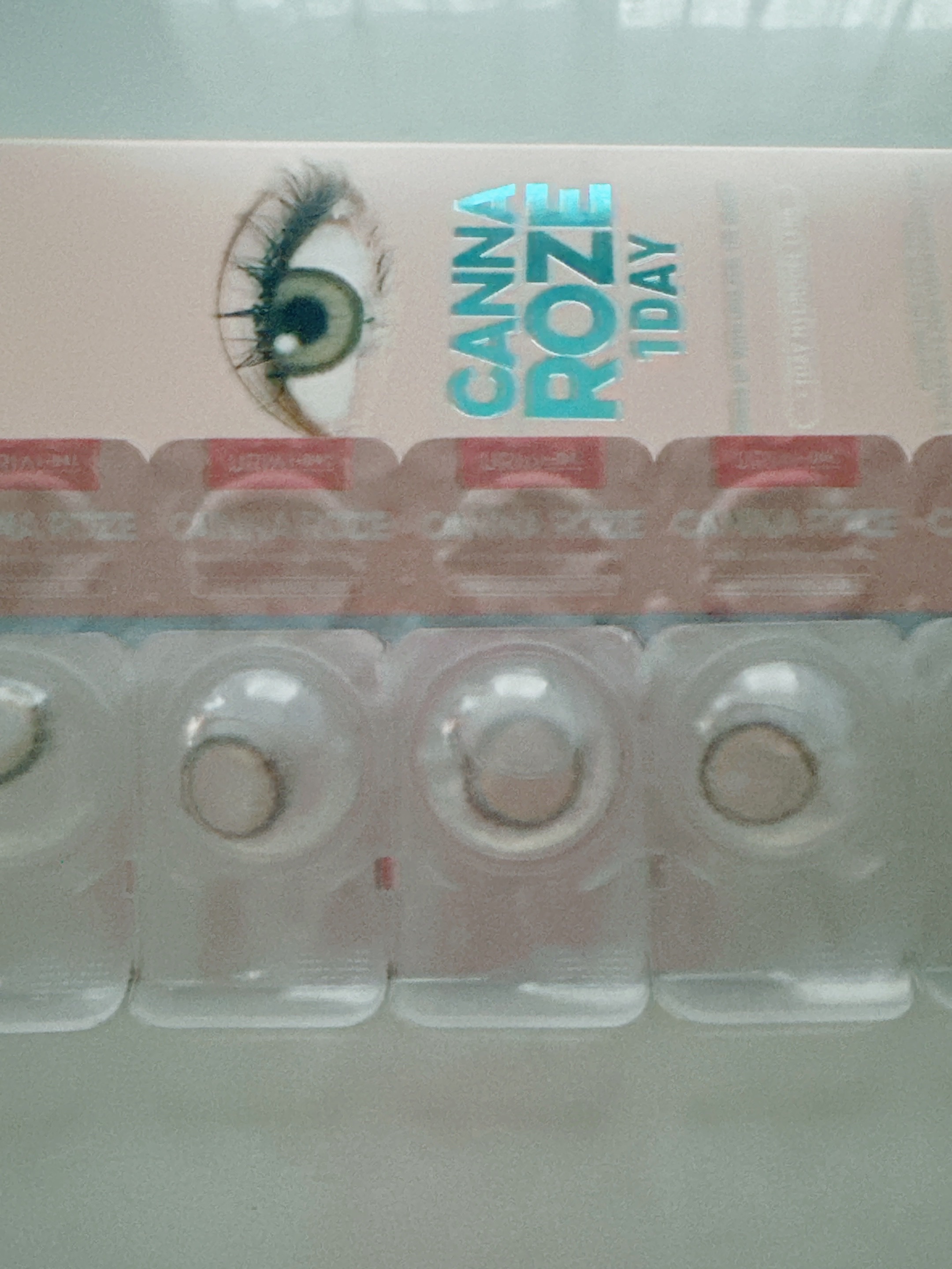 CANNA ROZE 1DAY/URIA i-DOL/ワンデー（１DAY）カラコンを使ったクチコミ（2枚目）