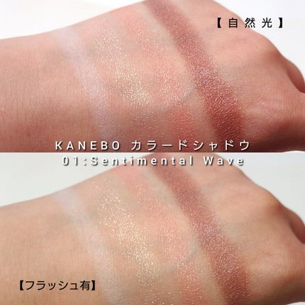 カラードシャドウ/KANEBO/アイシャドウパレットを使ったクチコミ(6枚目)