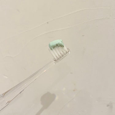 グリーンクレイ歯みがき(ミント)/ARGITAL/歯磨き粉を使ったクチコミ（2枚目）