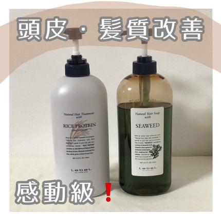 ナチュラル ヘアソープ ウィズ シーウィード/LebeL/サロンシャンプーを使ったクチコミ(1枚目)