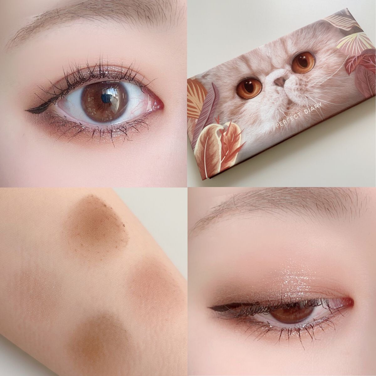 エクスプローラ12色 動物アイシャドウパレット/PERFECT DIARY/アイシャドウパレットを使ったクチコミ（1枚目）