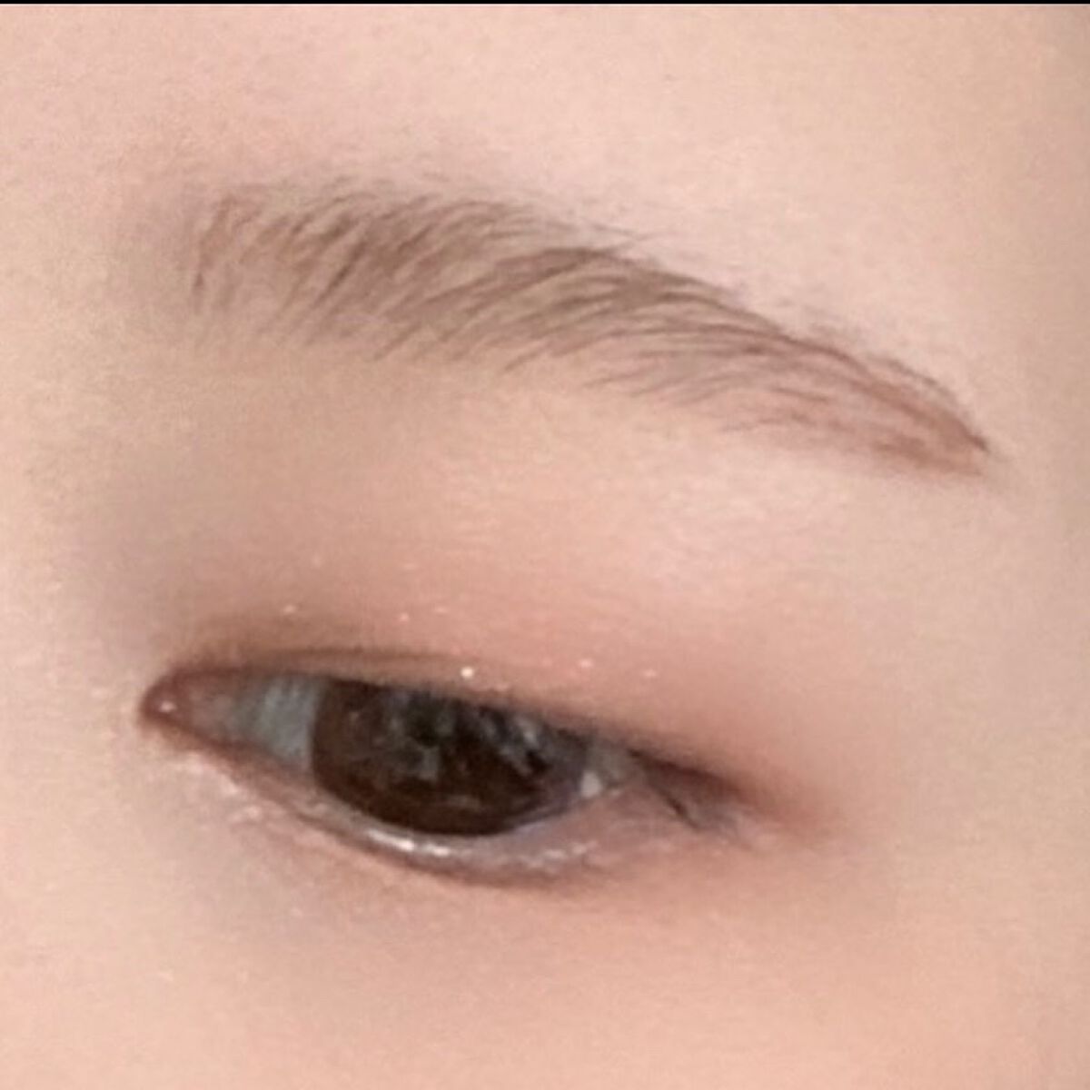 シャドウパレット/dasique/アイシャドウパレットを使ったクチコミ（3枚目）