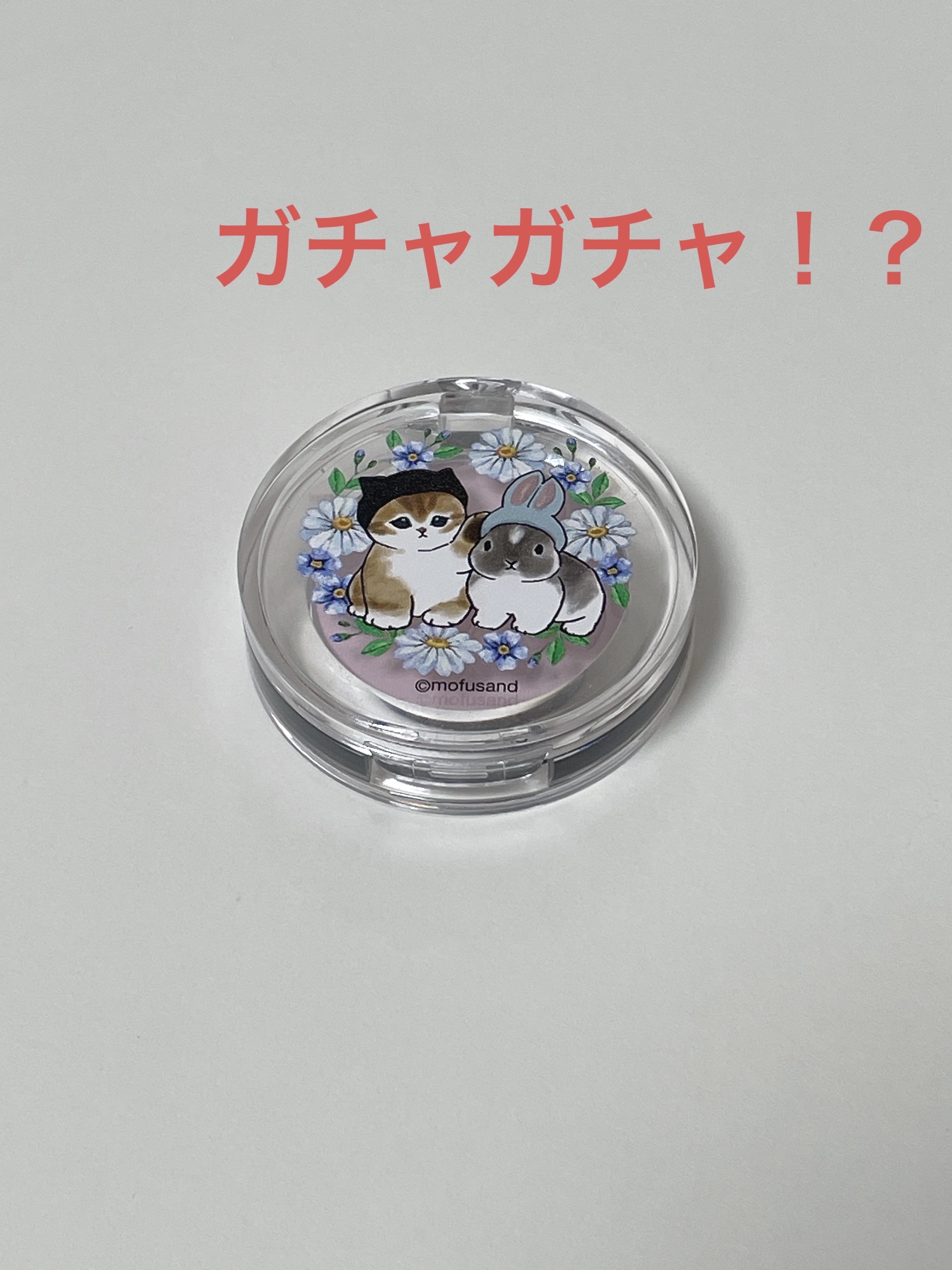 ポンデクルール　mofusand　マルチカラーパウダー/クレアボーテ/単色アイシャドウを使ったクチコミ（1枚目）