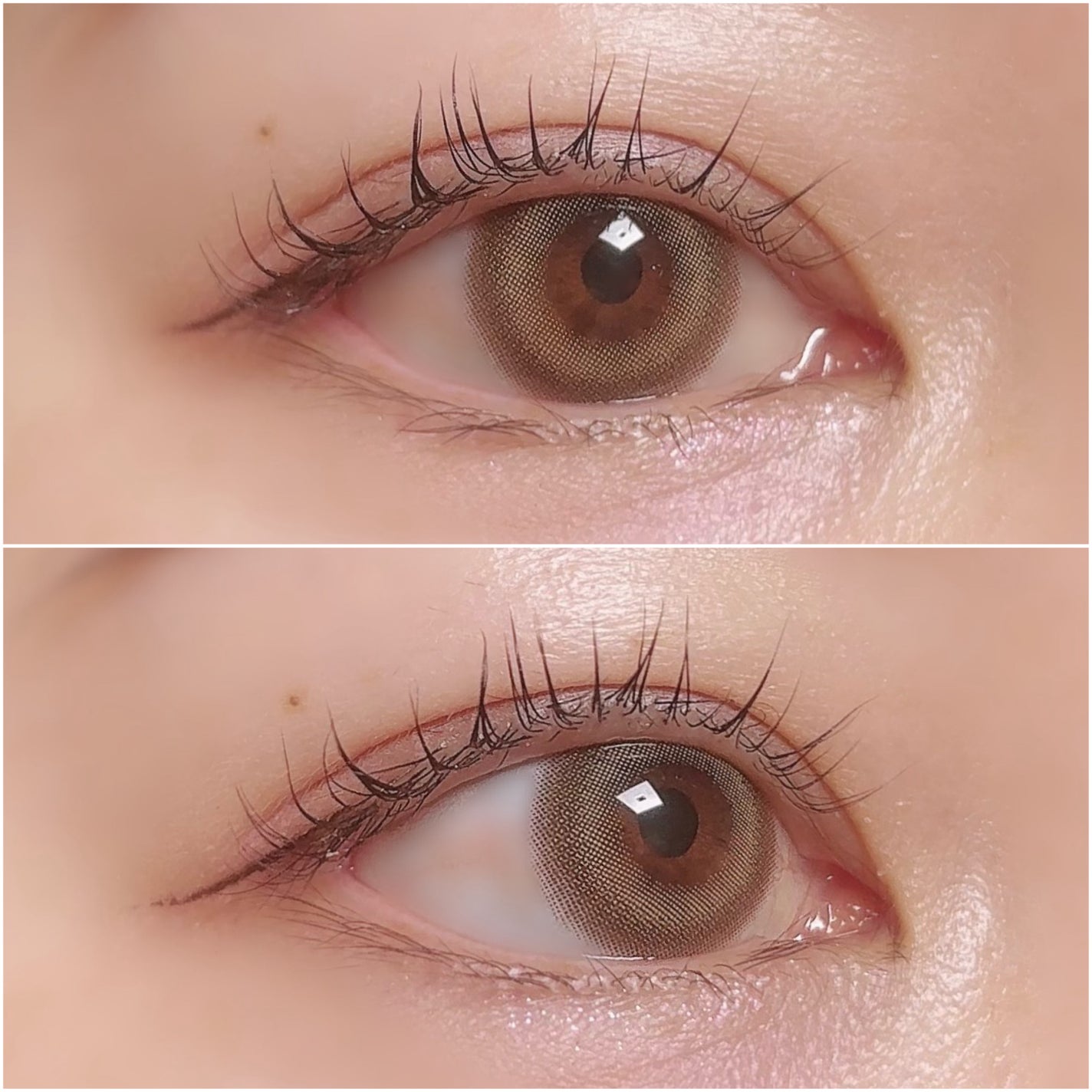 Dear Deer Kristen 1month/Hapa kristin/ワンデー(1DAY)カラコンを使ったクチコミ(3枚目)