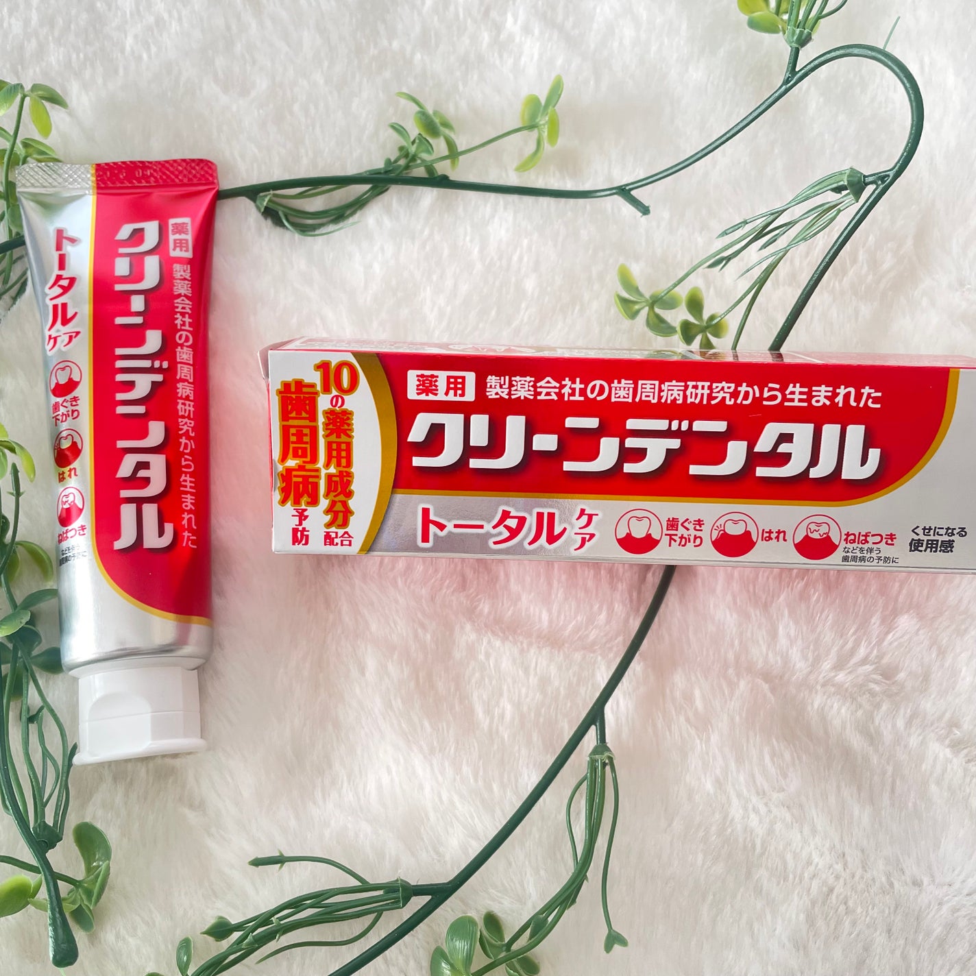 もふ on LIPS 「#PR#クリーンデンタル販売名:DS薬用歯磨きLb【医薬部外品..」(3枚目)