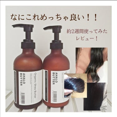 モイスト＆リペア シャンプー／ヘアトリートメント/AHALO BUTTER/シャンプー・コンディショナーを使ったクチコミ（1枚目）